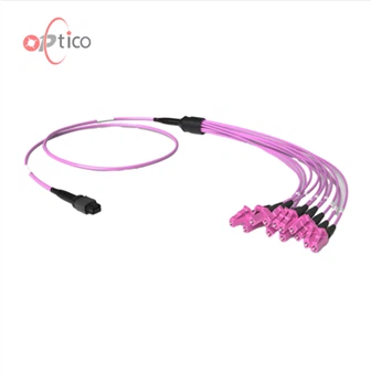 12F MTP OM4 Patchcord